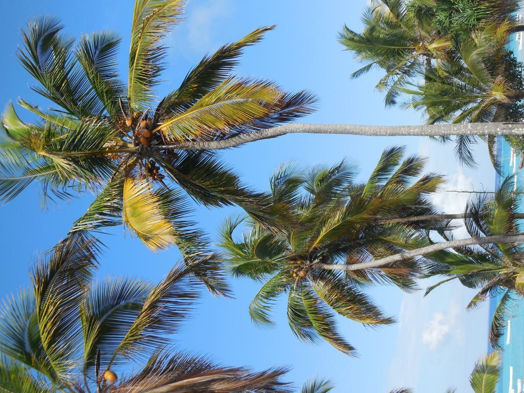 Swahili Beach Resort Zanzibar Eksteriør billede