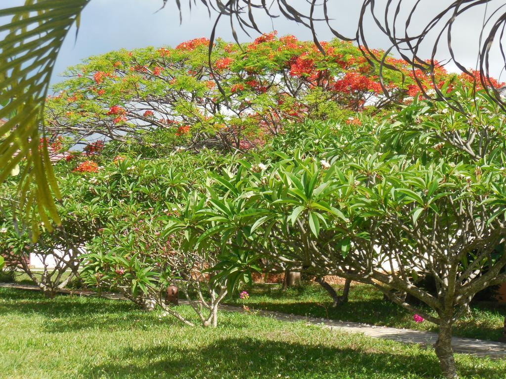 Swahili Beach Resort Zanzibar Eksteriør billede